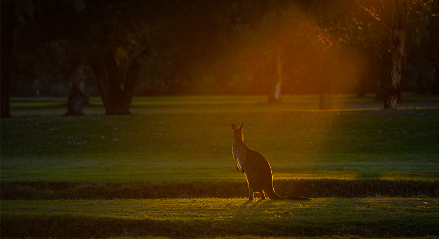 Renmark Country Club