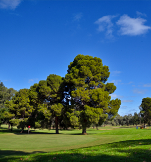 Renmark Country Club